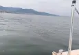 İzmir Körfezi’nde deniz marulu seferberliği: 7 amfibik araçla kesintisiz mesai
