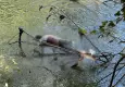 Nehirde erkek cesedi bulundu