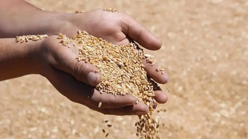 2026 hububat alım ve satış fiyatları açıklandı haberinin görseli