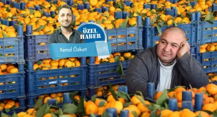 Gıda fiyatlarında yaz ucuzluğu artık bir hayal