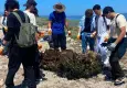 Homa Dalyanı’nda 2 ton katı atık bölgeden uzaklaştırıldı