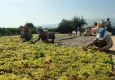 İzmir’de iklim adaleti forumu çağrısı