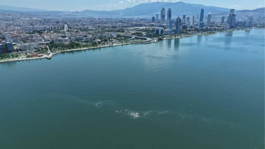 İzmir Körfezi’nde dış kaynaklı kirlilik alarmı haberinin görseli