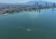 İzmir Körfezi’nde dış kaynaklı kirlilik alarmı
