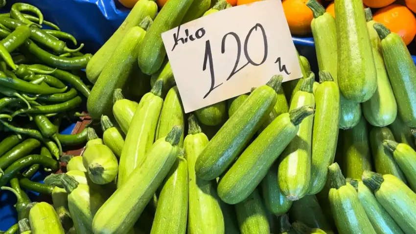 gıda
