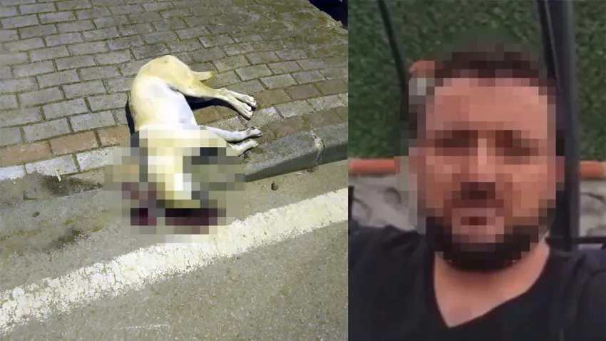 Oğluna saldıran köpeği öldüren sanık hakkındaki beraat kararı istinaftan döndü haberinin görseli
