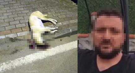 Oğluna saldıran köpeği öldüren sanık hakkındaki beraat kararı istinaftan döndü