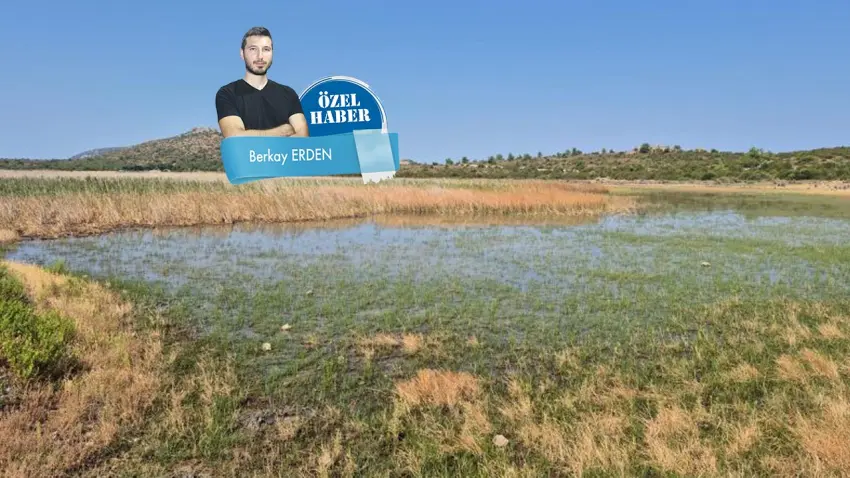 İzmir’in çevre karnesi: Yangın, rant ve enerji baskısı haberinin görseli