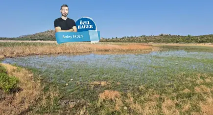 İzmir’in çevre karnesi: Yangın, rant ve enerji baskısı
