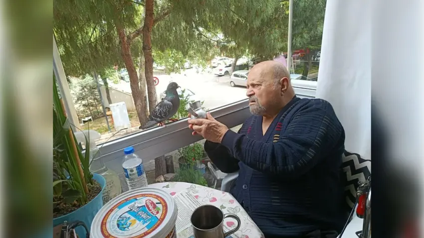 Kemal Dede, 'Sakat' güvercini için evini terk etmiyor haberinin görseli