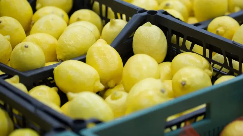 Limon ihracatında miktar geriledi, gelir arttı haberinin görseli