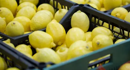 Limon ihracatında miktar geriledi, gelir arttı