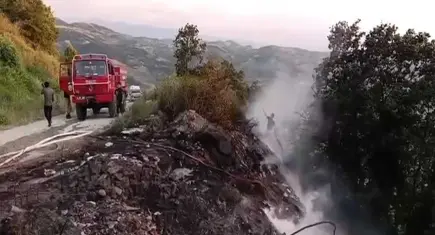 Bursa'da makilikte çıkan yangın söndürüldü