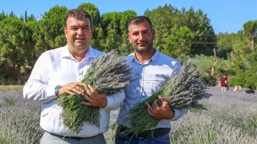 Seferihisar’da Lavanta Hasat Şenliği heyecanı haberinin görseli