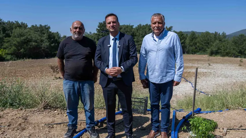 Bornova’da atıl araziler üretime kazandırılıyor haberinin görseli