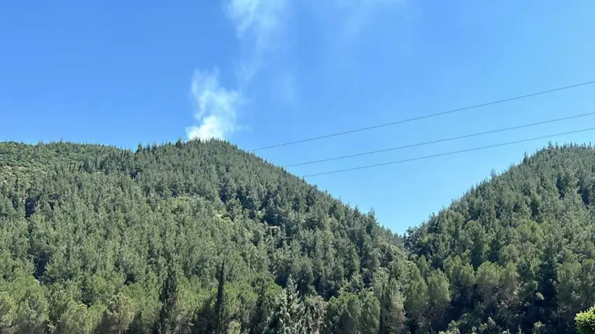 Manisa'da orman yangını haberinin görseli