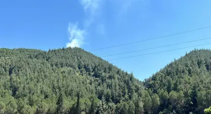Manisa'da orman yangını