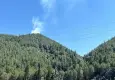 Manisa'da orman yangını