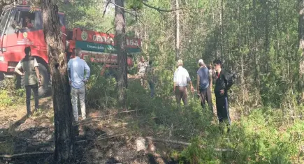 Kütahya’da orman yangını