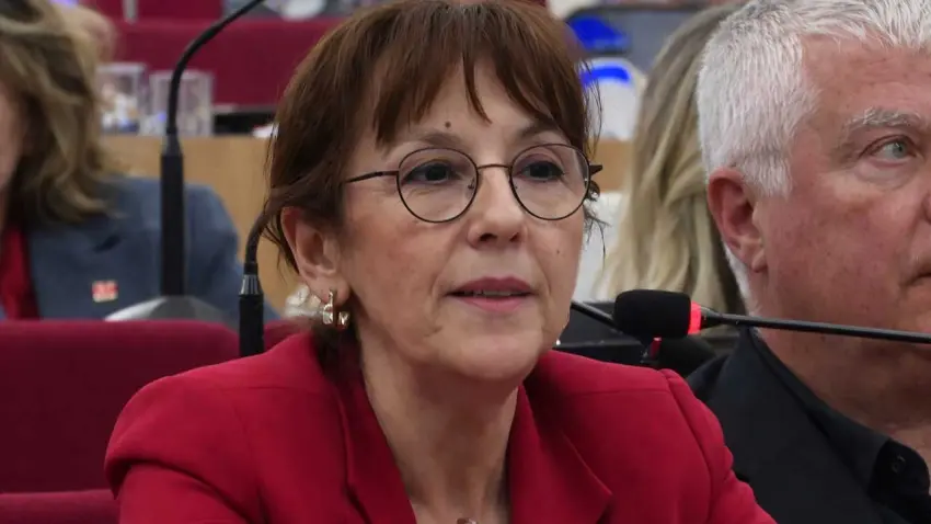 NİLÜFER