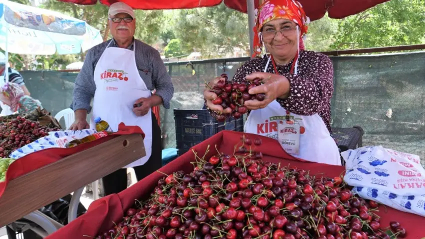 Kirazın bereketi Beşyol’da buluşuyor haberinin görseli