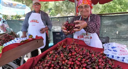 Kirazın bereketi Beşyol’da buluşuyor