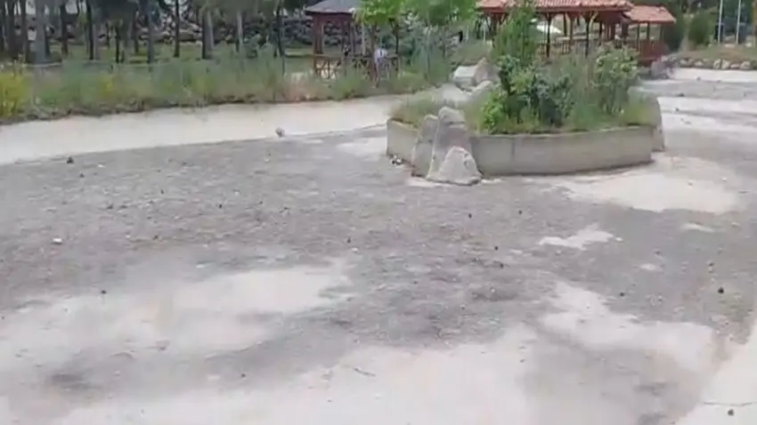 Niğde’de evlat acısının ardından icra şoku haberinin görseli
