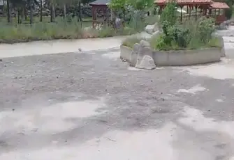 Niğde’de evlat acısının ardından icra şoku