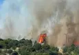 Çanakkale'de orman yangını