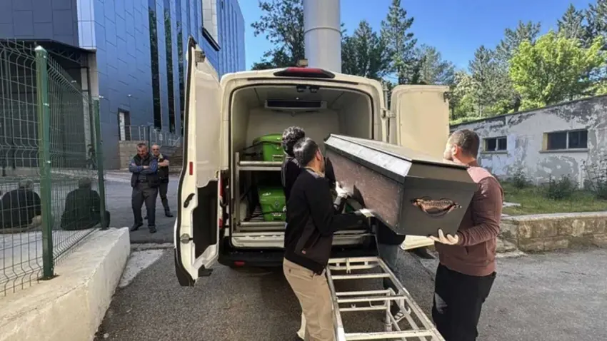 Hava sıcaklıkları arttı, kene can almaya devam ediyor haberinin görseli