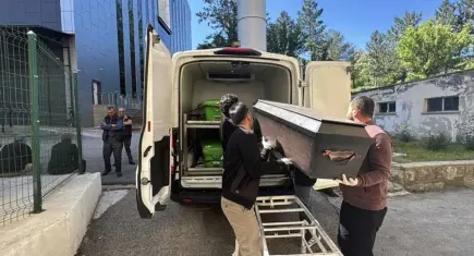 Hava sıcaklıkları arttı, kene can almaya devam ediyor