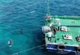 Atık midye kabukları deniz yaşamına dönüşüyor