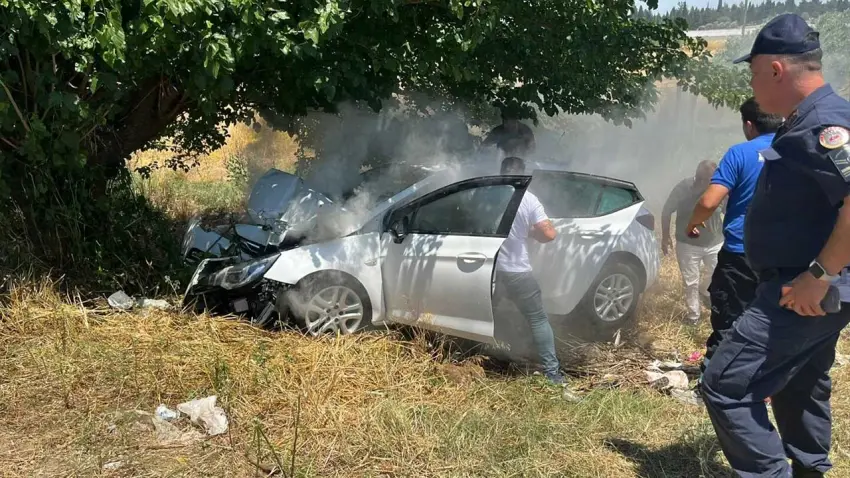 İzmir'de otomobil, ağaca çarptı: Ağır yaralılar var haberinin görseli