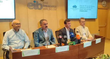 Zeytinyağında tarihi rekolte kapıda, sektör destek bekliyor