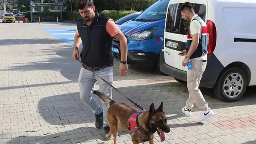 Denizli'yi sarsan ihbar: Gizli doruşturmada 12 avukata eş zamanlı baskın haberinin görseli