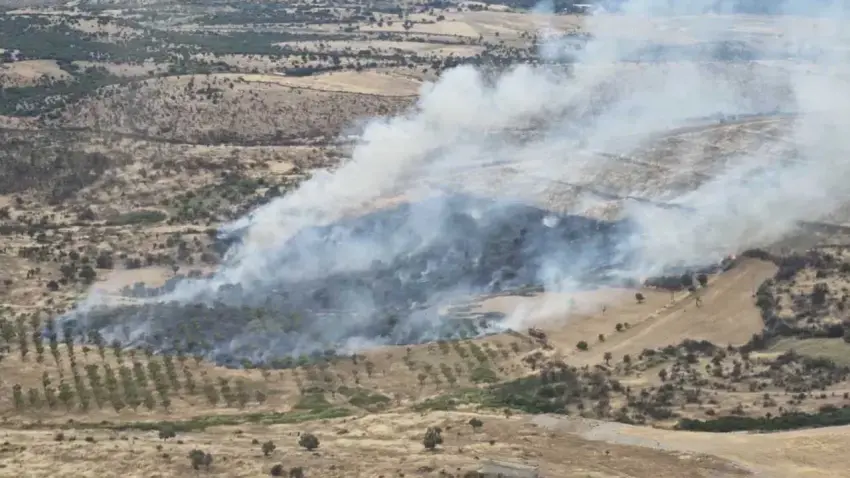 Çanakkale'de orman yangını haberinin görseli