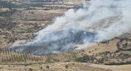 Çanakkale'de orman yangını
