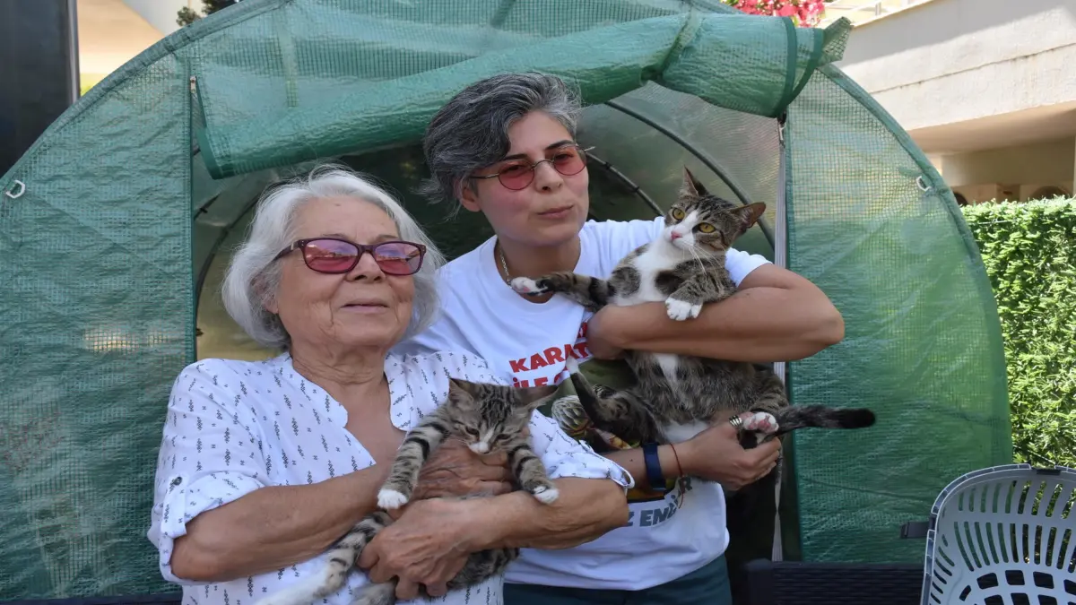 İzmir'de erkek kedi doğum yaptı görseli