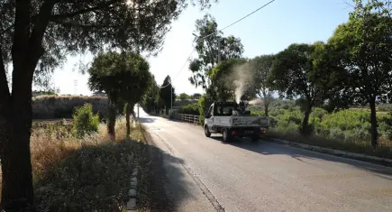Menderes’te ilaçlama seferberliği başladı