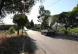 Menderes’te ilaçlama seferberliği başladı