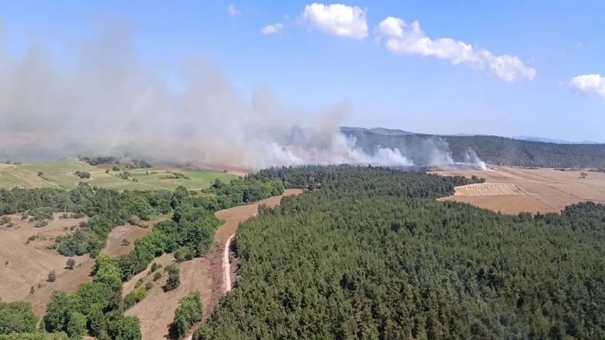 Çanakkale'de alevlerle mücadele: Rüzgarın etkisiyle ormana sıçrayan yangın büyüdü haberinin görseli