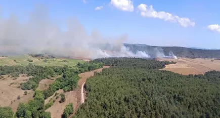 Çanakkale'de alevlerle mücadele: Rüzgarın etkisiyle ormana sıçrayan yangın büyüdü
