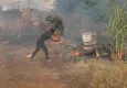 Antalya’da otluk alanda çıkan yangın seralara ve arı kovanlarına sıçradı