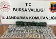 Bursa'da 2.5 milyon liralık kaçak saat operasyonu