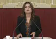 DEM Partili Koçyiğit'ten Terörsüz Türkiye süreci için çerçeve yasa çağrısı