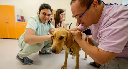 Terk edilen patili dost Bal, engelli hizmeti merkezinin neşesi oldu