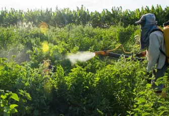 Türkiye'nin tarım devinden iflas kararı: Bil-Naz Tarım İlaçları kepenk indirdi