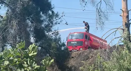 Antalya'da iki farklı noktada orman yangını
