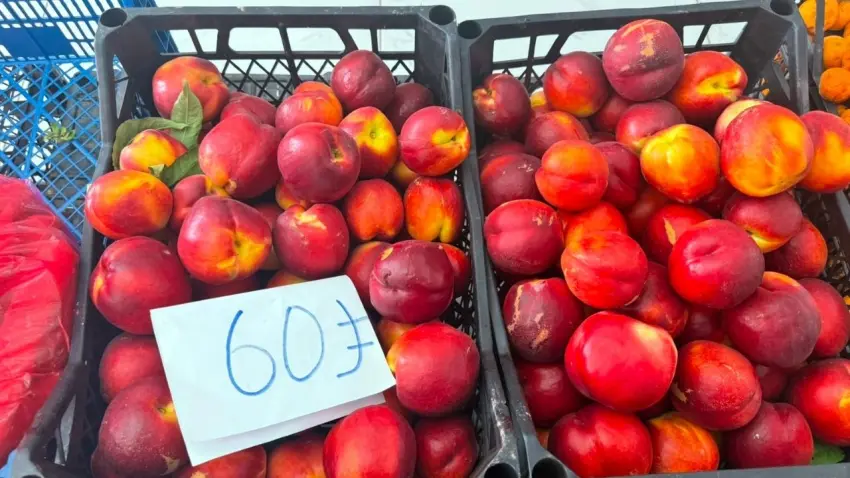 Şeftali üreticisinde tepki: Bahçede 15, pazarda 60 lira haberinin görseli