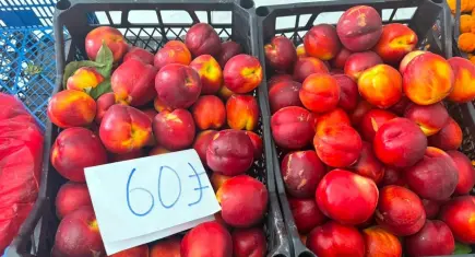 Şeftali üreticisinde tepki: Bahçede 15, pazarda 60 lira